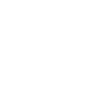 Icon representing community runs and fundraising events